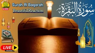 Surah Al Baqarah full | by Sheikh Mishary Al Afasy ( Quick Recitation ) سورة البقرة Ep:05
