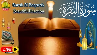 Surah Al Baqarah full | by Sheikh Mishary Al Afasy ( Quick Recitation ) سورة البقرة  Ep:05