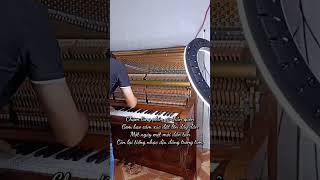 Touching familiar keys, turning feelings into song. 🎹 #piano #ballad #bienhoa