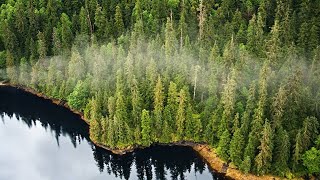 SEACC holds ‘public hearings’ on Tongass roadless rule as federal process moves ahead - clipped v...