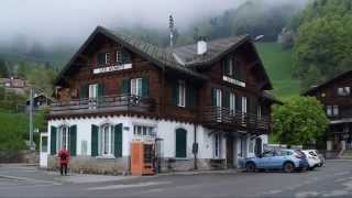 VD - Die Narzissenfelder von Les Avants