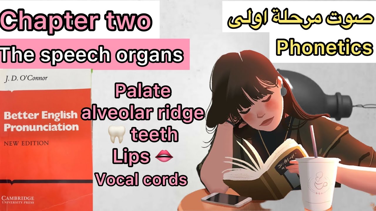 مرحلة اولى | قسم اللغة الانجليزية | صوت چابتر 2 | | تعاريف مهمة phonetics