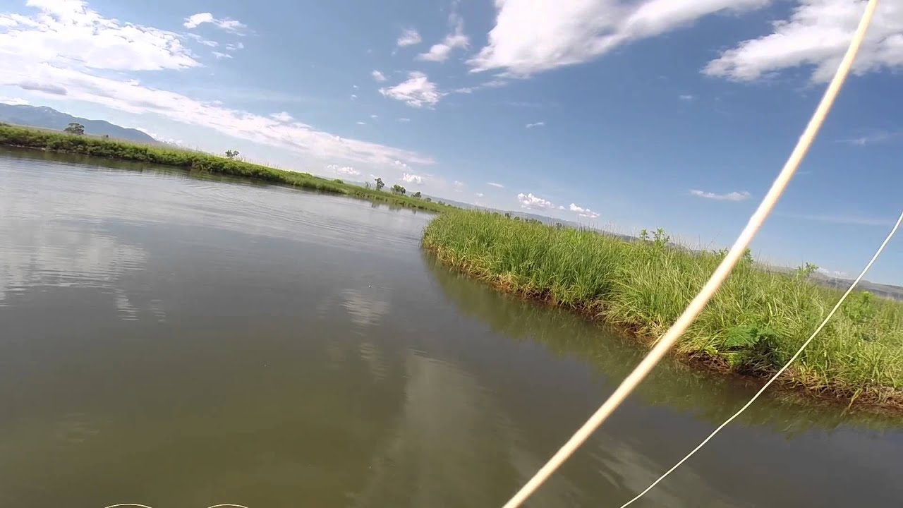 Flats Rainbow by Randy Brown YouTube