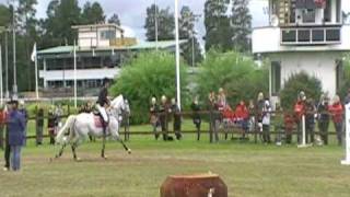 Mirantos T, 140 cm (winning round), grundomgång, 100725
