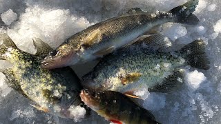 Ice fishing On Greenwood Lake 2022