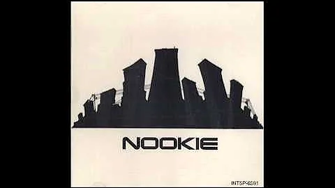 Limp Bizkit -  Nookie (Paul Tesla Remix)