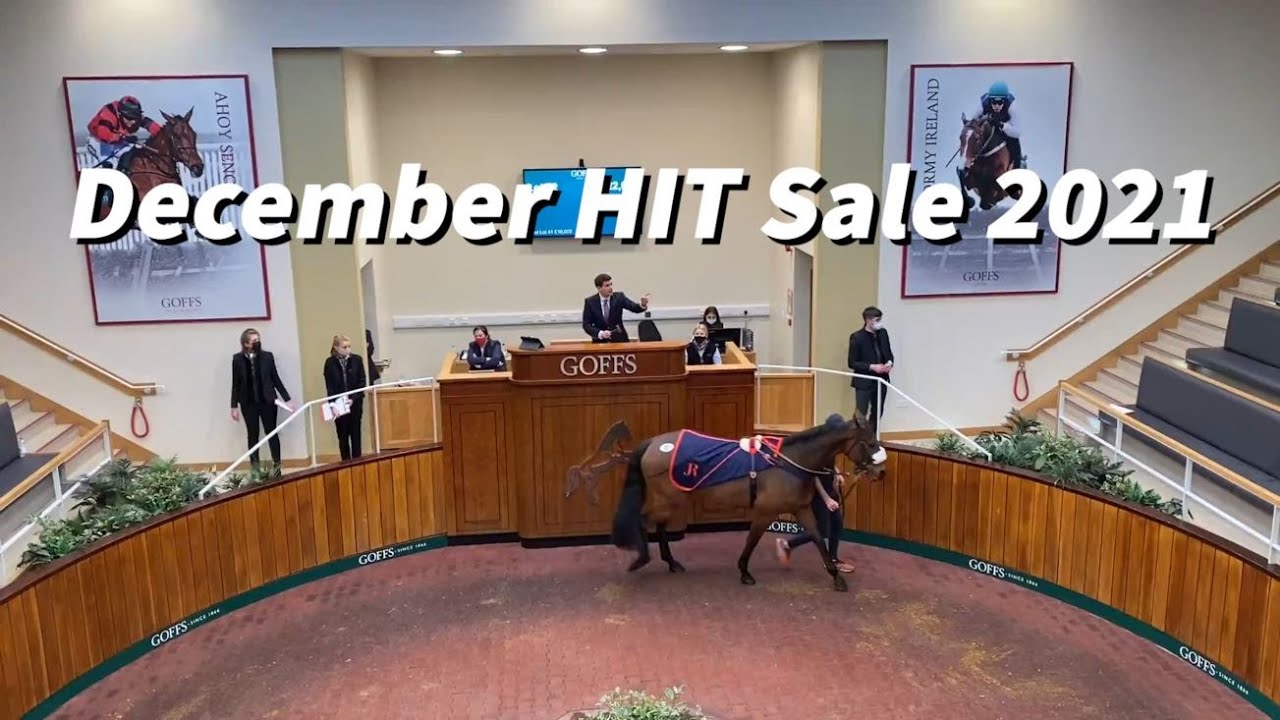 【非売品】ヘンリー・セシル公式バイオグラフィー 凱歌 (海外競馬・調教師) Katy (@InLuv_w_Horses) / Posts / X