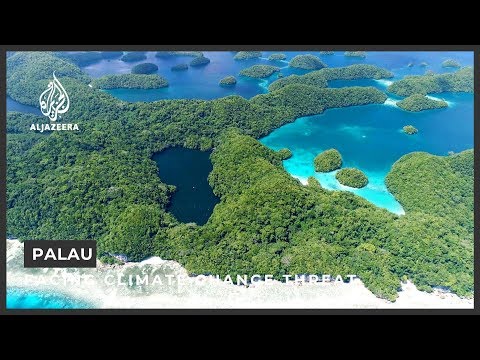 Palau corals ‘may hold answer’ to facing climate change threat