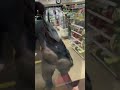 Proud boy terrorist gets his ass kicked at 711