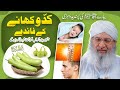 Piyare aaqa  ki pasandeeda sabzi  hazrat younus ka darakht  benefits of kaddu shareef  new