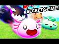 Roblox Experience Slime RNG By Stouts Studio - Basic Overview [0 Robux]  👾Discord X Link🔗