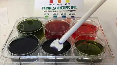 Hydrolysis of Salts Demonstrations with Mrs. Repasky