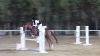 Show Jumping Lesson { RAWS }
