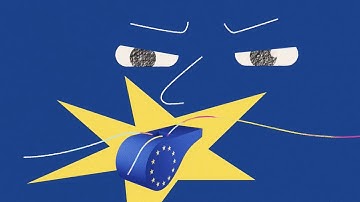 The EU Whistleblower Tool | All EU languages subs