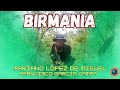 BIRMANIA EN LLAMAS, enfrentamiento civil en Myamar: Rohinyás, karen, monarquicos y comunistas unidos