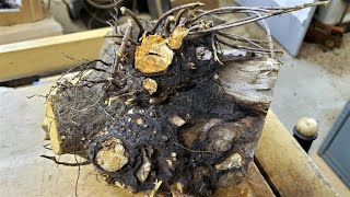 Roots and Rocks, OH MY!  Wood Turning