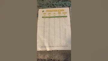 CC Essentials Chart D, Irregular Verbs