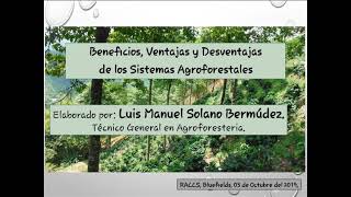 Beneficios, Ventajas y Desventajas de los Sistemas Agroforestales | Luisito de Dios