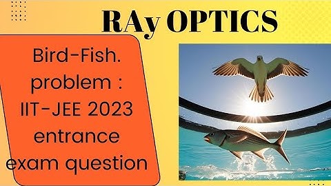 Bird Fish problem -Ray optics , 12th , JEE and NEET