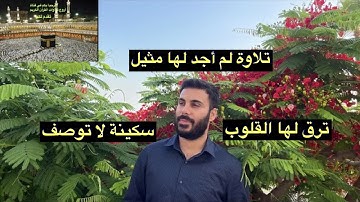 نور الدين سليم سورة المرسلات