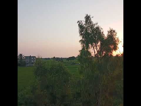 ابتهالات دينيه جميله فى قلب الطبيعه 