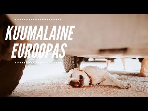 Video: Kuumalaine Euroopas