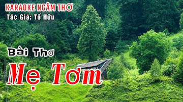 Karaoke Bài Thơ Mẹ Tơm | Tác Giả Tố Hữu | Nhạc Ngâm Thơ Hay Cho Nam Và Nữ