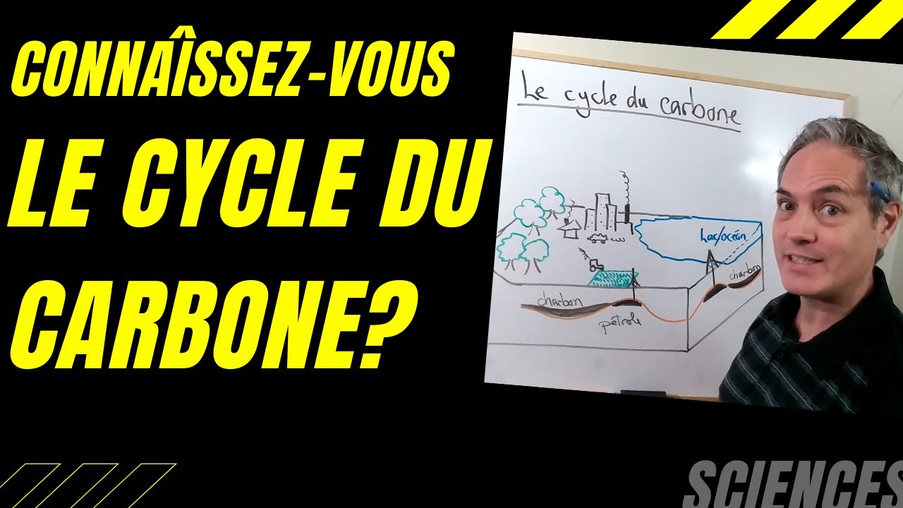 Connaissez-vous le cycle du carbone?  Un équilibre important