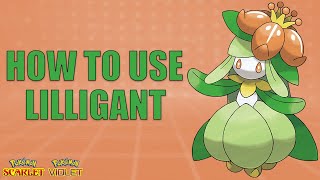 How To Use LILLIGANT! - Pokemon Scarlet and Violet Moveset Guide