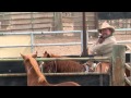 Watch American Mustang Movie Free Online