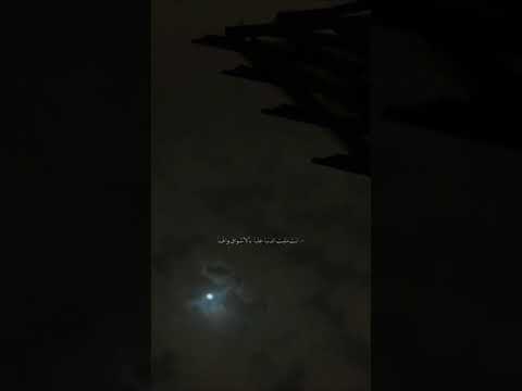 اليسا اي اتمنى تاني بدون موسيقى