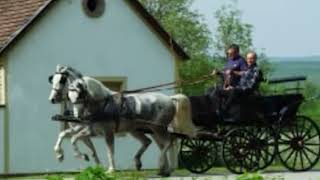 Ivan Mandić - Jakovljev Jure