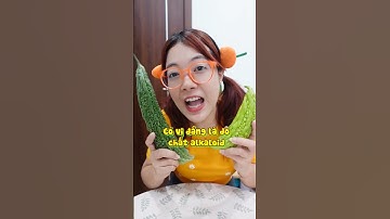 Tại sao MƯỚP ĐẮNG LẠI ĐẮNG? 1 ngày ăn toàn khổ qua #leeciehayhoi #shorts