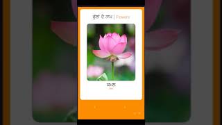 OORAA Gurmukhi Learning App - Pictures & Game - Flowers screenshot 4