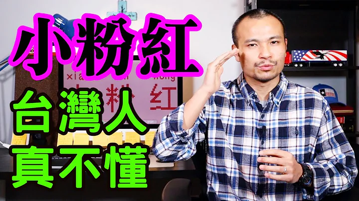 深度解讀：「小粉紅」到底是什麼人種？台灣人不懂，美國人不懂，正常人都不懂┃洛奇漫談 - 天天要聞