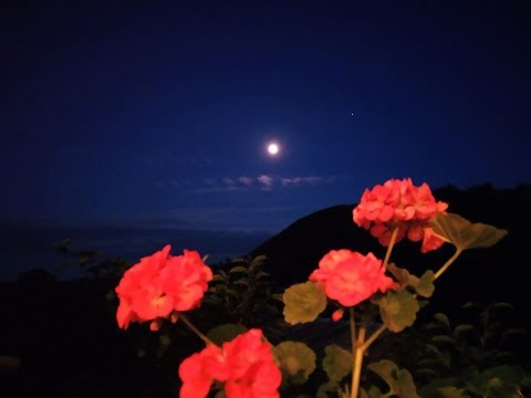 მზისა და  მთვარის  ენერგიების დაბალანსება