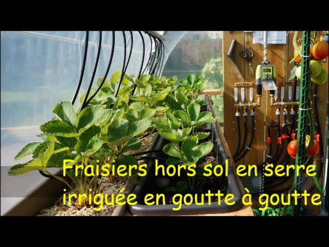Culture de fraises hors-sol : La gouttière DIY [TUTO + Photos]