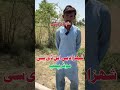 Shahzad BLDC Motor Pump