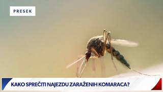 U Severnoj Makedoniji 43 slučaja zapadno-nilske groznice: Virus potvrđen i kod uginulog gavrana