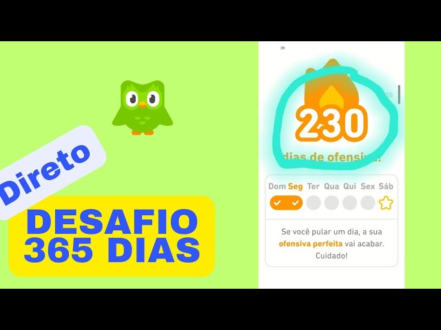 Como eu posso pular o básico? – Central de Ajuda do Duolingo