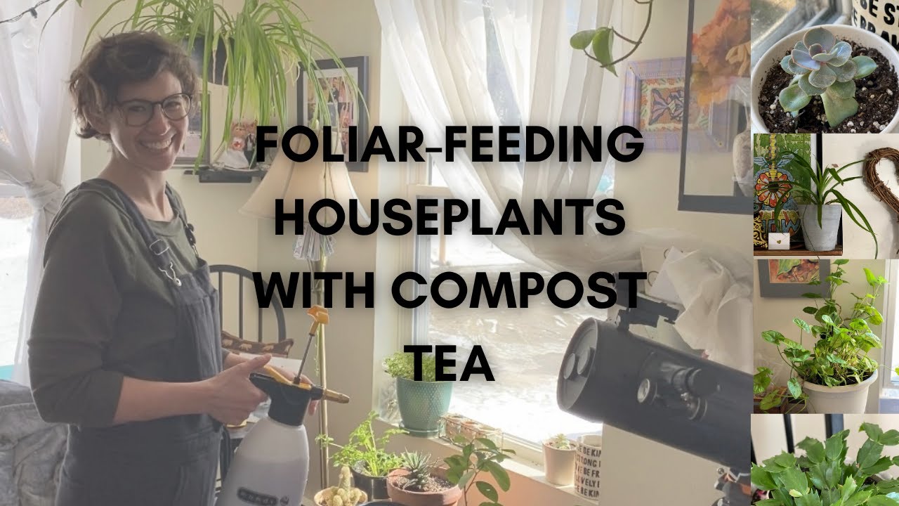 Foliar-Feeding Houseplants with Compost Tea