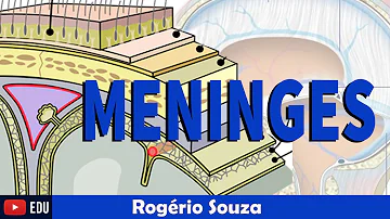 Quais são os espaços existentes entre as meninges?
