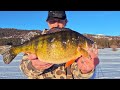 Late ice giant cascade perch