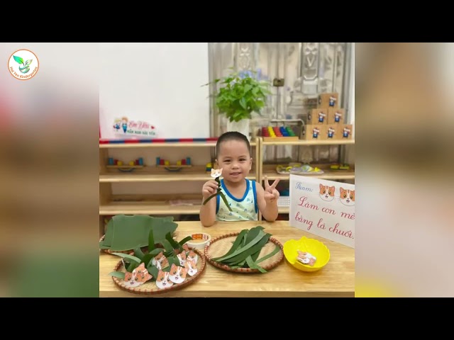 Video 🍃🐱 KHÉO TAY LÀM MÈO – BÉ HỌC MÀ CHƠI 🐱🍃 | Mầm Non Hải Yến - Trương Định