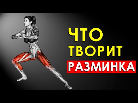 Вот Почему Нужно Обязательно Делать Разминку перед Тренировкой