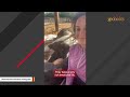 I bought $2500 horse so he could do nothing