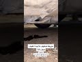 تنظيف روائح الكريهة في مكيف السياره تنظيف روائح الكريهة في مكيف السياره