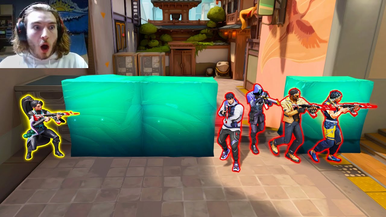 rank 1 pro hates my walls…