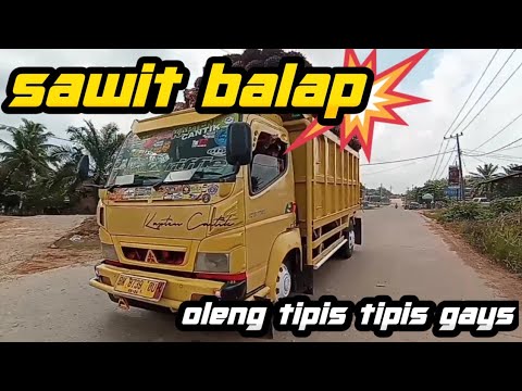  TRUK  SAWIT OLENG  NGERI  YouTube