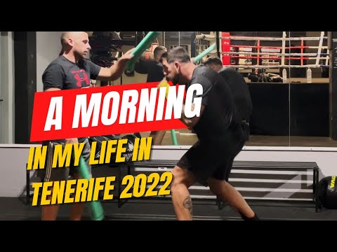 A morning in the Life - Tenerife November 2022